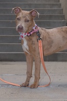 2025-07-12 EAPL Thrift Store - Velma  010