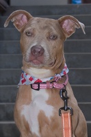 2025-07-12 EAPL Thrift Store - Velma  037