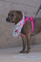 2025-07-12 EAPL Thrift Store - Zola  004