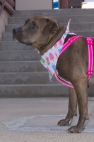 2025-07-12 EAPL Thrift Store - Zola  026