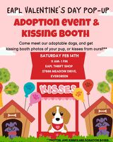 Valentine's Day - Pop Up Event